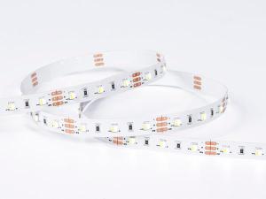 Nastro LED Regolabile Itegrato CCT 2-in-1