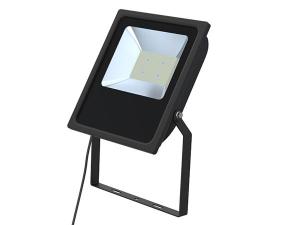 AC Flood Light