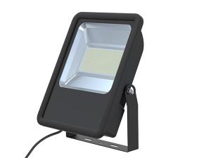 AC Flood Light