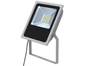 AC Flood Light