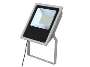AC Flood Light