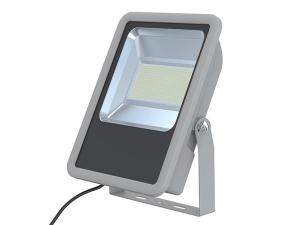 AC Flood Light