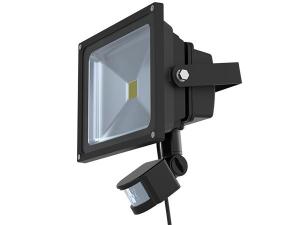 AC Flood Light