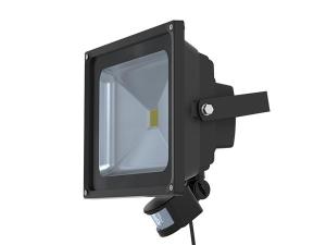 AC Flood Light